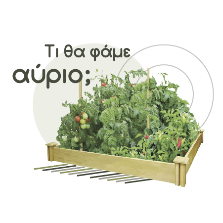 Διατροφή